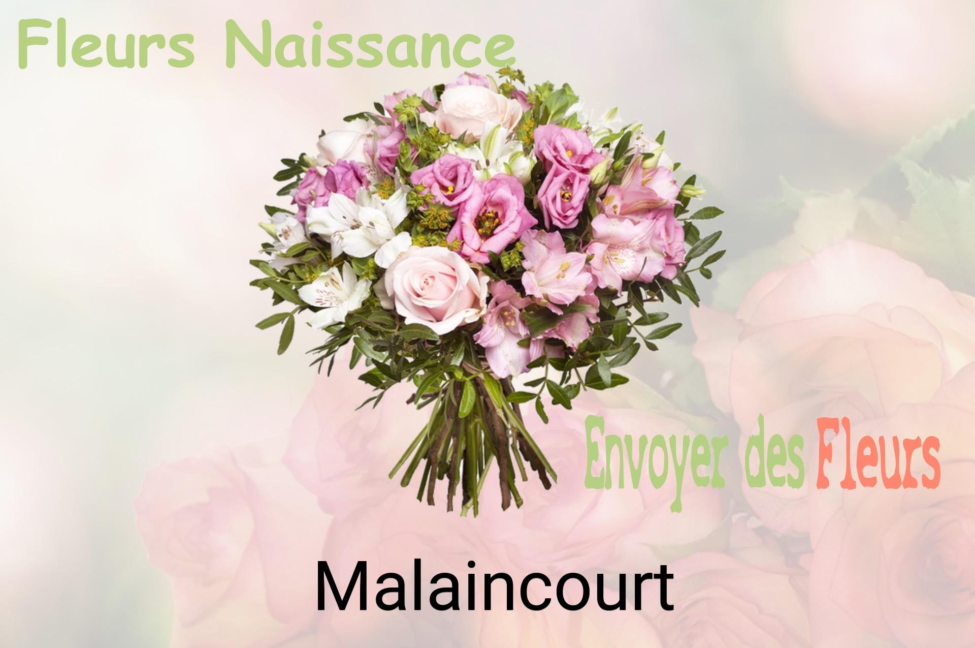 Bouquet de fleurs de naissance livré à Malaincourt